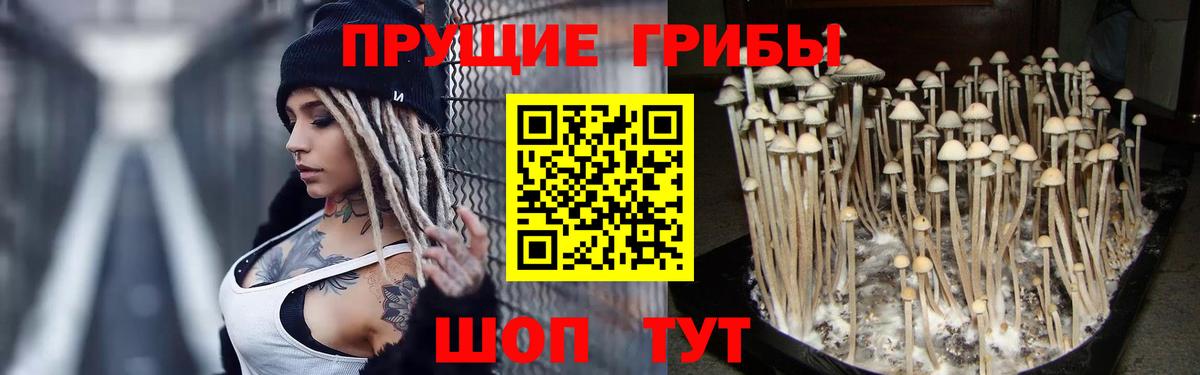 Псилоцибиновые грибы ЛСД  Галлюциногенные грибы Magic Shrooms  Вход с VPN  Отрадный 